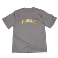 PURSUE